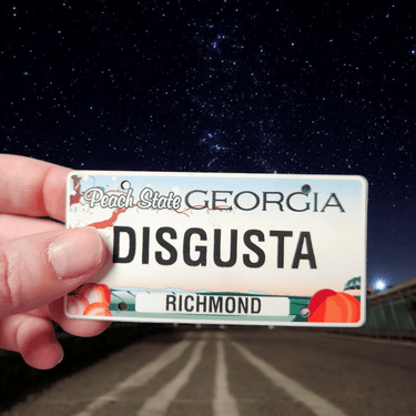 Disgusta GA License Plate Hat – Love It or Leave It - Trucker Hat - Charm and Char